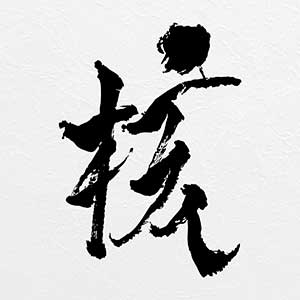 XG【THE CORE – 核】【无损FLAC-MP3-719MB】百度网盘下载-60音盘